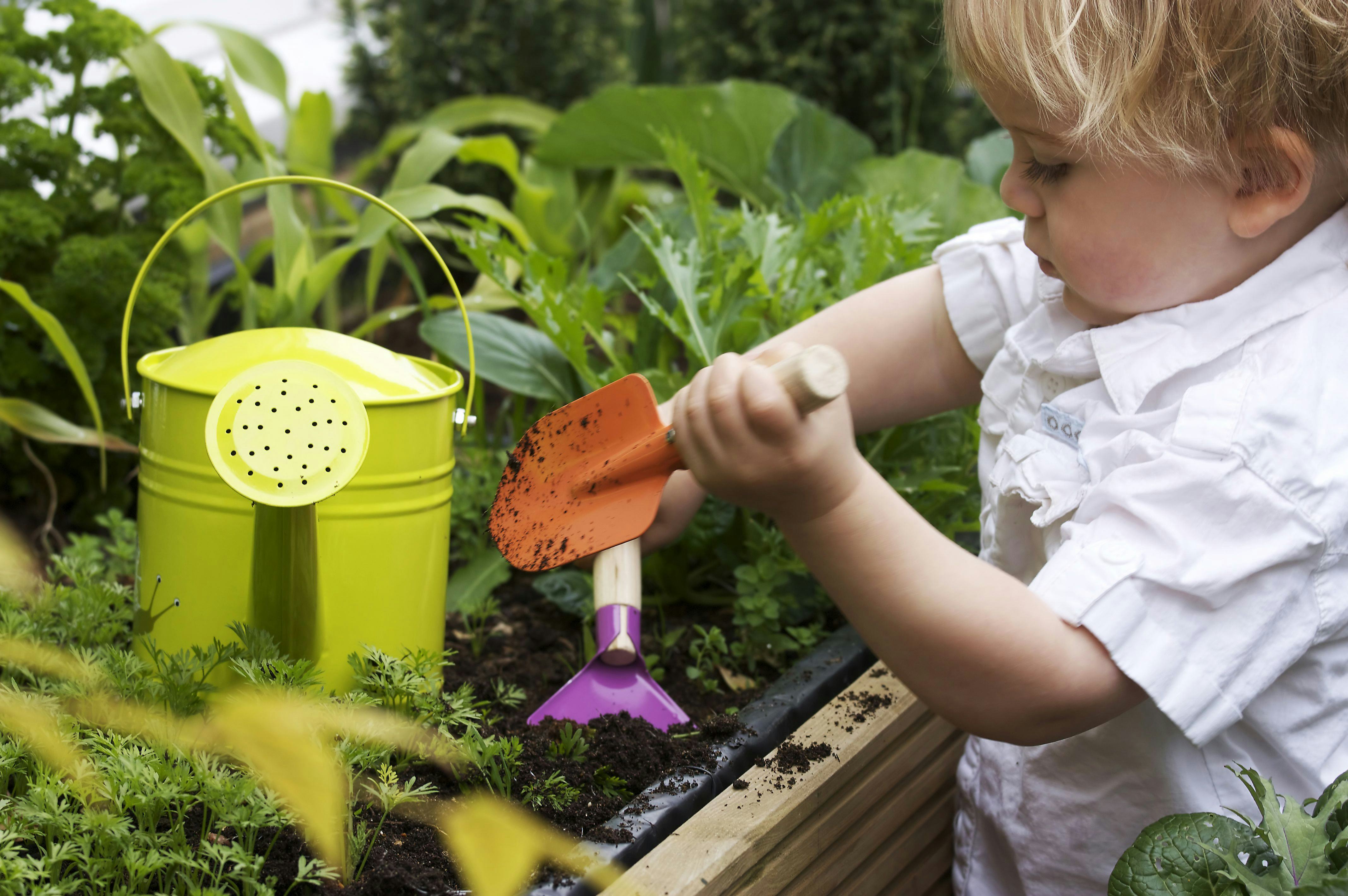 Watering flowers. Огород для детей. Рыхление растений. Посадка растений в детском саду. Полив цветов в детском саду.